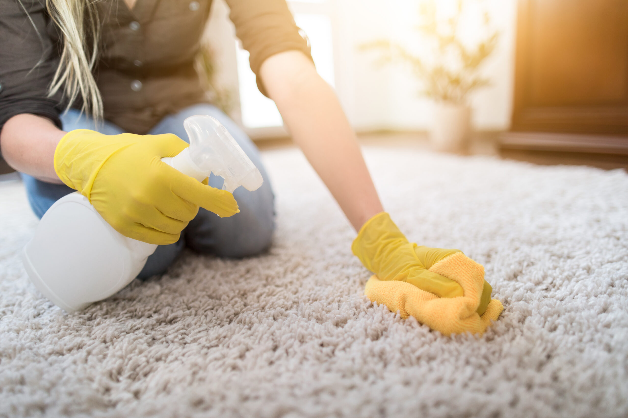 woman cleaning carpet
