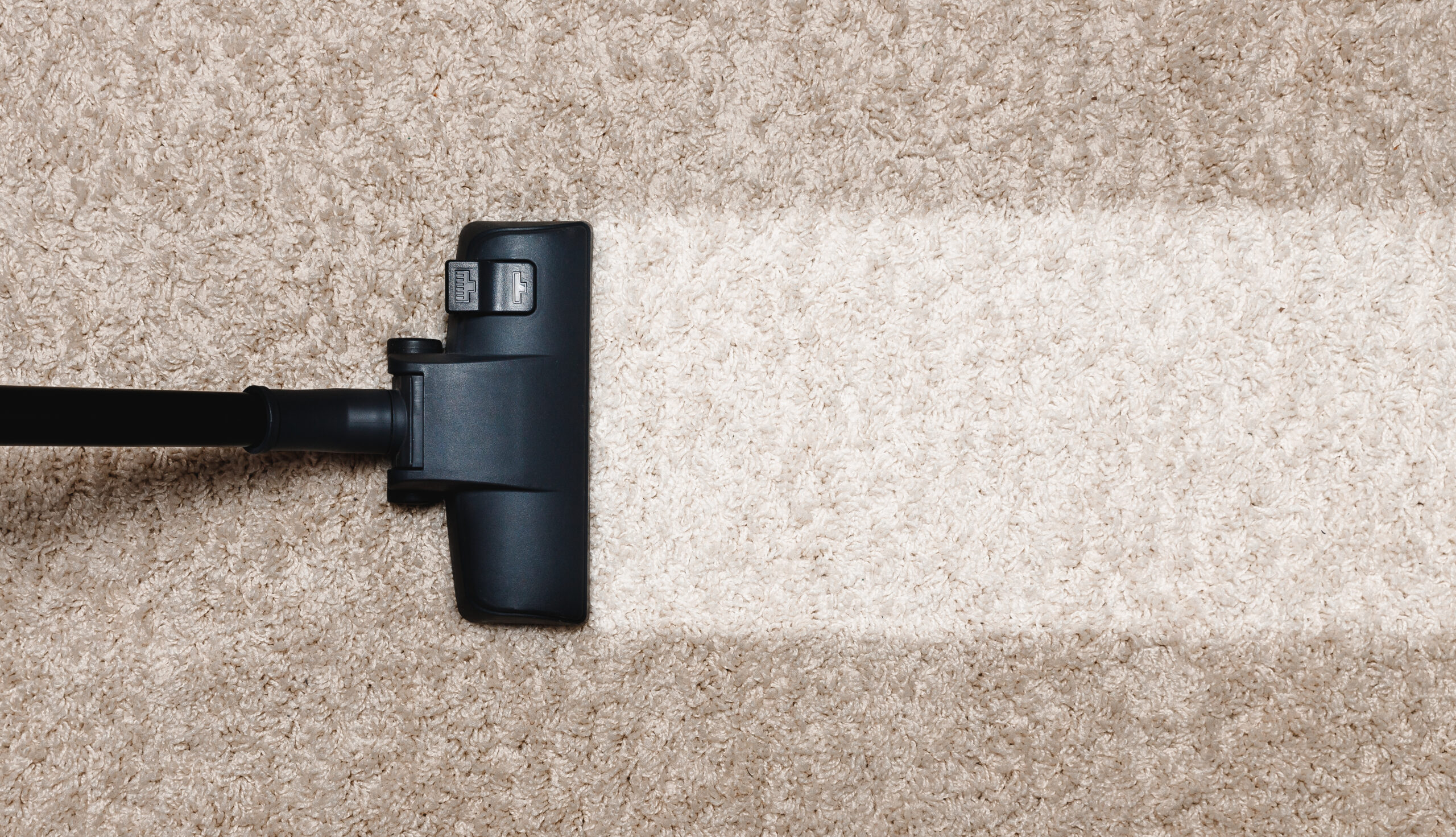 cleaning carpet