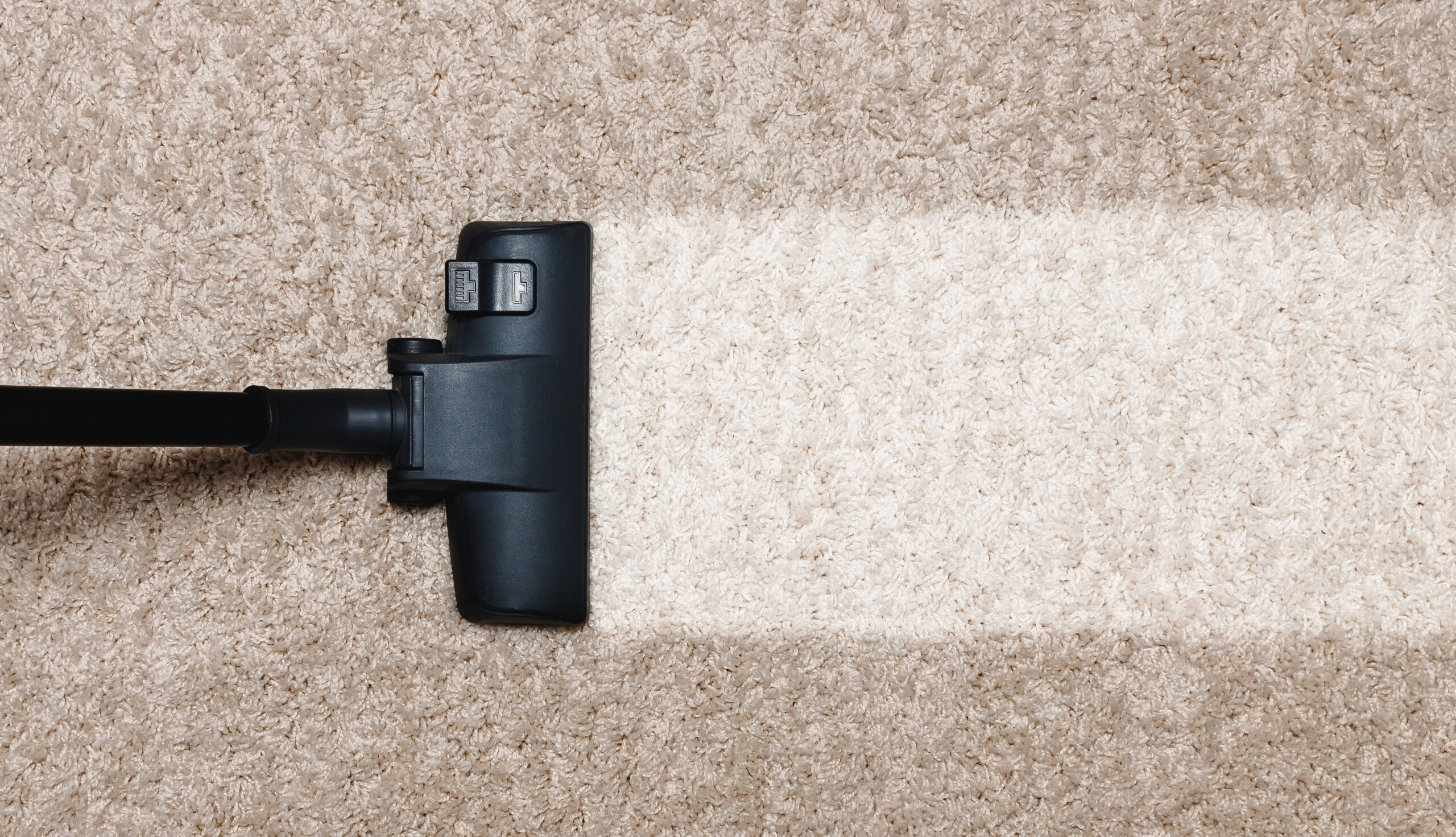 How Often Should Carpets Be Cleaned?
