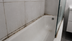 Mildewed Bathtub Corner and Glass Screen